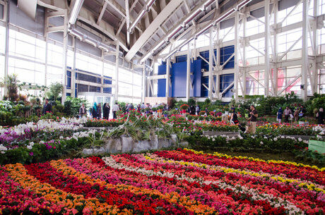 برگزاری نوزدهمین نمایشگاه بین‌المللی گل و گیاه در مشهد از امروز
