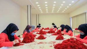  افزایش ۵۰درصدی صادرات زعفران