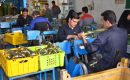 قانون جدید تامین اجتماعی سرمایه گذاری در شهرکهای صنعتی را دشوار کرده است