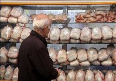 ساماندهی و اصلاح شبکه تامین و توزیع مرغ گوشتی در شهرستان مشهد