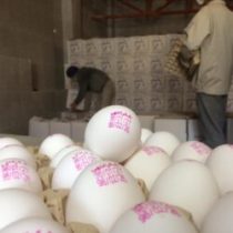 در جهت ارتقاء کیفیت بهداشتی تخم مرغ، عرضه تخم مرغ فاقد «نشانه گذاری» ممنوع می شود