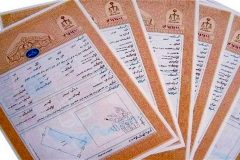 کاداستر و صدور سند مالکیت ۸۰درصد اراضی منابع طبیعی خراسان رضوی