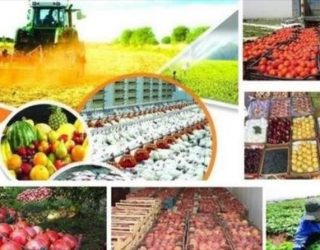 صادرات کشاورزی