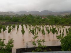 خسارت سیل به بخش کشاورزی مشهد