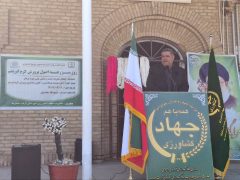نوغانداری خراسان رضوی؛ نیازمند ساماندهی و ارتقای کیفیت