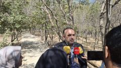 جهش ۶۰ درصدی سرانه‌ فضای سبز بانوان در مشهد