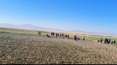 زاوه، قطب زعفران کشور؛ جهش اقتصادی با تکیه بر طلای سرخ و میراث معنوی زاوه، قطب زعفران کشور؛ جهش اقتصادی با تکیه بر طلای سرخ و میراث معنوی