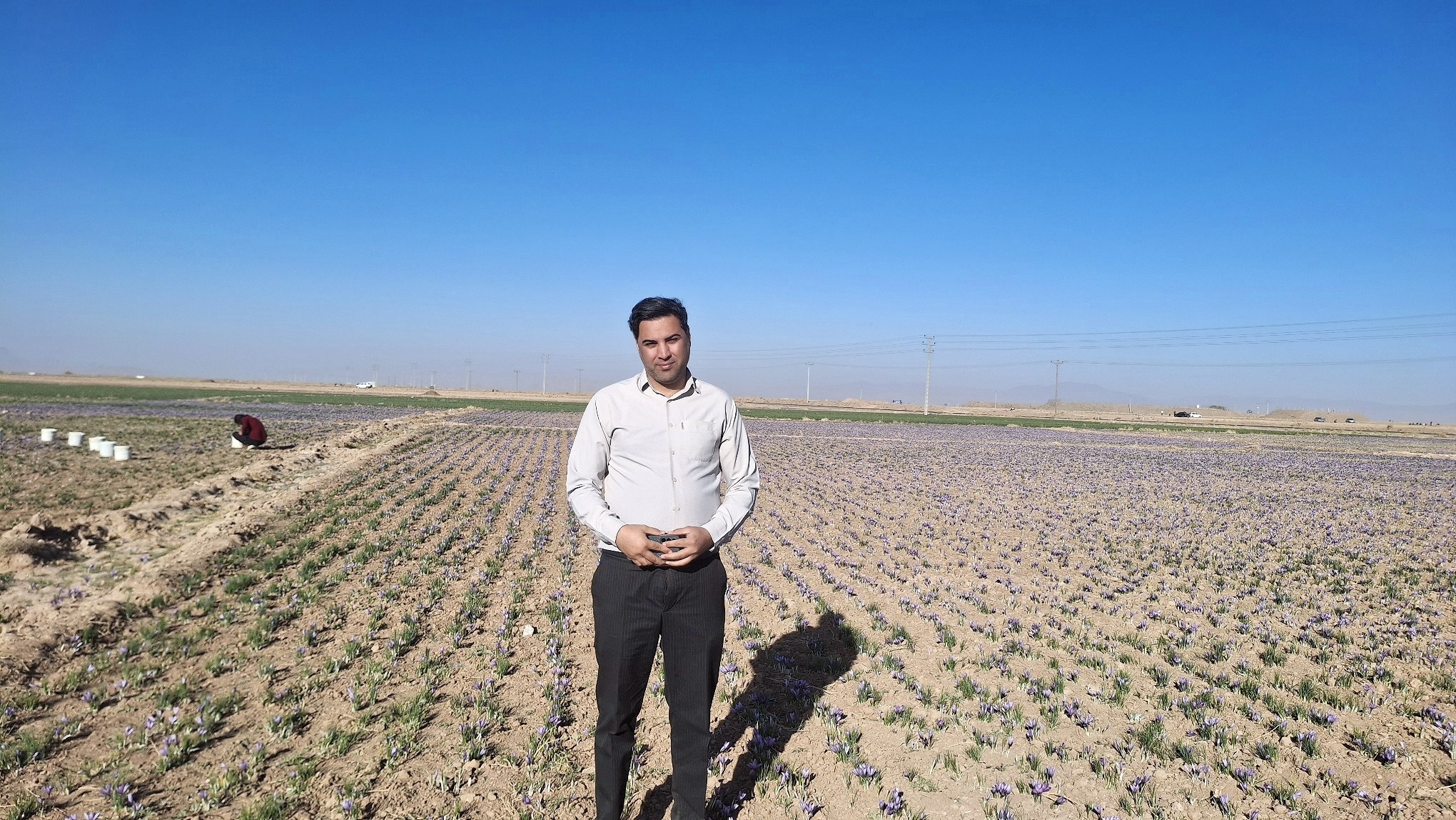 زعفران در تنگنای سیاست، نوسان و بیثباتی زعفران در تنگنای سیاست، نوسان و بیثباتی