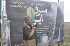 بیش از ۶هزار نهال در اولین پویش نهالکاری سال جدید در خراسان رضوی کاشته شد