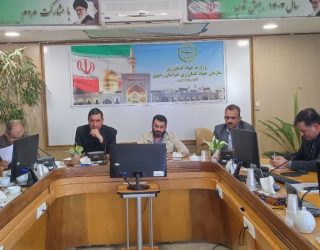 خراسان رضوی با تدوین سندتحول کشاورزی برای هر شهرستان، گام بلندی در راستای افزایش بهره‌وری و تطابق تولید با نیازهای محلی برداشته است.