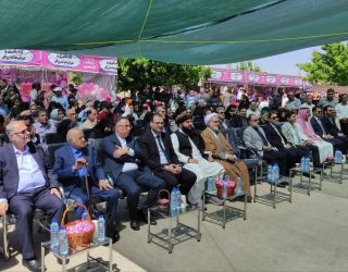 گل محمدی