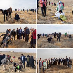 خراسانی ها زیر سایه مادر نهال کاشتند