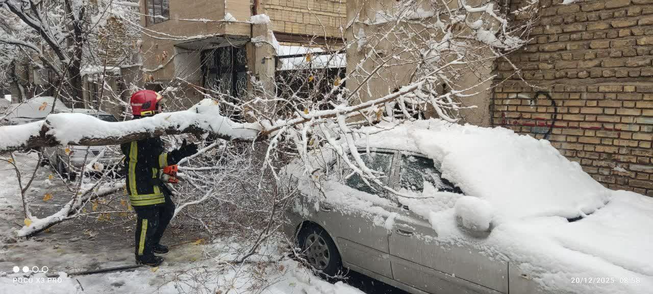 آمار ۸ ساعته حوادث ناشی از برف در مشهد: ۲۶۵ مورد سقوط درخت
