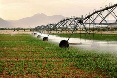 اجرای طرح آبیاری تحت فشار در ۶۰ هکتار از اراضی مشهد