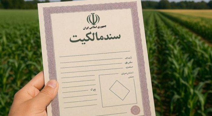 صدور سند تک برگ برای مالکین اراضی کشاورزی به چه نحوی است؟ صدور سند تک برگ برای مالکین اراضی کشاورزی به چه نحوی است؟